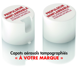 Caoutchoucs compacts : Silicone alimentaire SI 810B - Groupe Efire